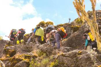 7 Days Machame Route Kilimanjaro Climbing Tour