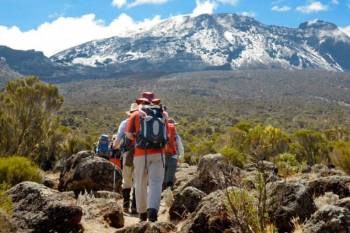 7 Days Lemosho Route Kilimanjaro Climbing Tour