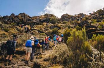 6 Days Rongai Route Kilimanjaro Climbing Tour