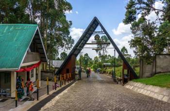Machame Route Day Hike Tour