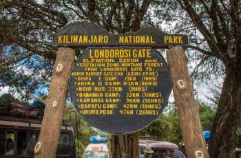 Lemosho Route Day Hike Tour
