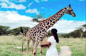 1 Day Serval Wildlife Tour