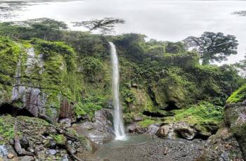 Napuru Waterfalls Day Tour