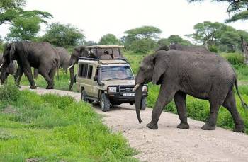 Arusha National Park Day Tour