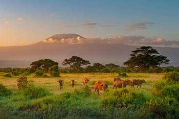 3 Day Amboseli National Park Safari Tour