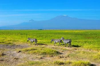 Amboseli Day Trip From Nairobi