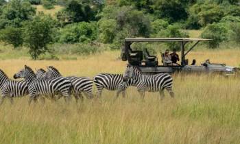 7N 8D Rwanda Adventure Safari Tour