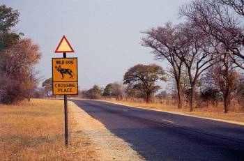 2 nights 3 days Explore  Hwange National Park and Victoria Falls (Zimbabwe)