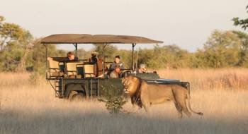 3D 2N Hwange and Victoria Falls Safari Tour