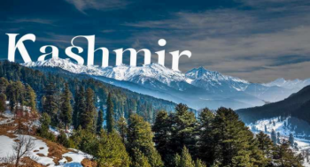 Short And Sweet Kashmir 5N - 6D Tour