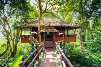 2 Night - 3 Days Periyar Tour With Treehouse