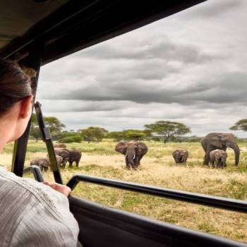 4-Day Tarangire, Ngorongoro and Ndutu Serengeti NP