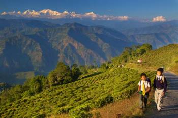 Bagdogra Tour Package 5N - 6D