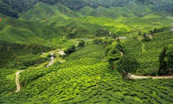3N - 4D Assam Package