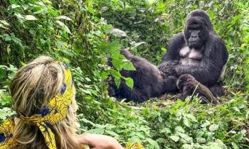 8 Days Of Primates - Wildlife And Water Rafting Uganda Safari Tour