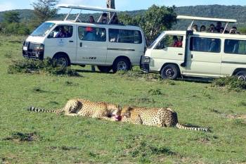 6 Days Kenya Budget Small Group Safari Tour