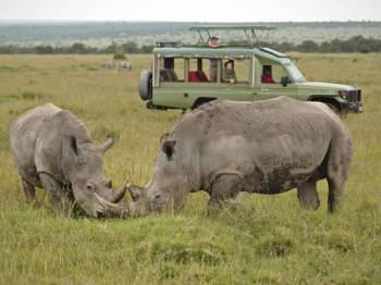 3 Days 2 Nights To Ol Pejeta Conservancy Tour