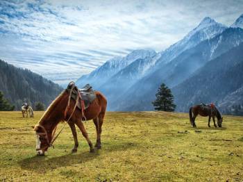 Glimpse of Kashmir Valley