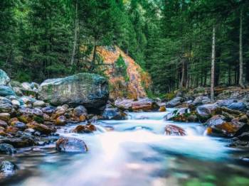 5 Nights - 6 Days Himachal Pradesh Tour