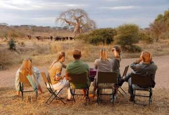 ✨ 5‑Day Luxury Safari Itinerary