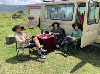 ⛺ 4-Day Camping Safari – Tanzania (Budget Adventure)