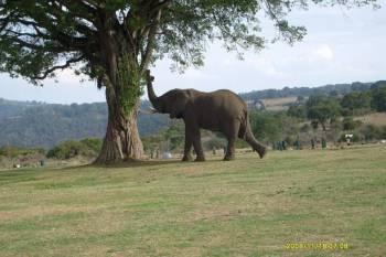🦁 3-Day Luxury Safari – Tanzania