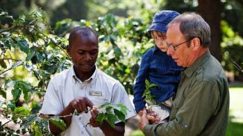 ☕🦁 3-Day Safari & Coffee Tour (Arusha Region)