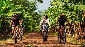 🚴‍♂️🦓 6-Day Safari & Bicycle Tour (Northern Tanzania)