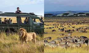 🐘🌿 3-Day Selous Game Reserve Safari (Nyerere National Park)