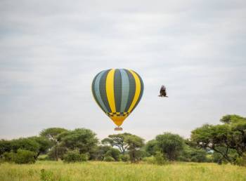 🎈🦁 5-Day Luxury Safari with Balloon Ride – Northern Tanzania