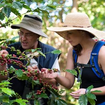 ☕🦁 6-Day Luxury Safari + Coffee Tour – Northern Tanzania