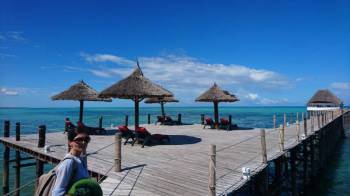 12 Days Tanzania Lodge Safari Tour 12 Days Tanzania Lodge Safari Tour