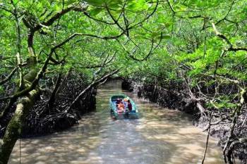 3 Night Port Blair - Ross Island - Baratang Island Tour Package