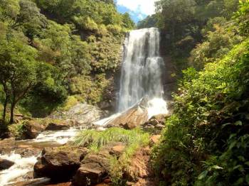 5 Days Chikmagalur - Coorg Tour Package