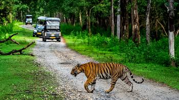 5 Days Coorg - Kabini Tour Package
