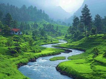 5 Days Coorg - Ooty Tour Package