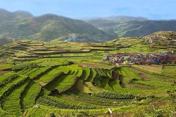 6 Night Kodaikanal - Ooty - Mysore - Bangalore Tour Package