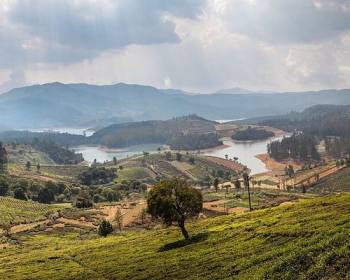 6 Night Bangalore - Mysore - Ooty Tour Package