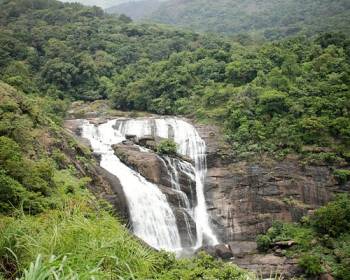 7 Days Coorg - Ooty - Mysore - Bangalore Tour Package