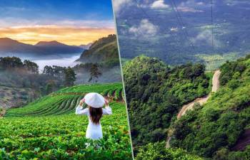 7 Days Bangalore - Mysore - Wayanad - Ooty Tour Package