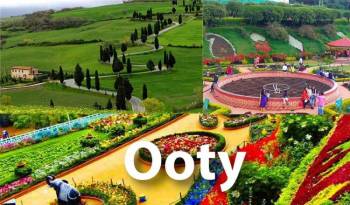 6 Night Bangalore - Mysore - Ooty - Kodaikanal Tour Package