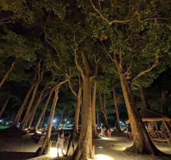 4 Days - 3 Nights Port Blair - Neil Tour