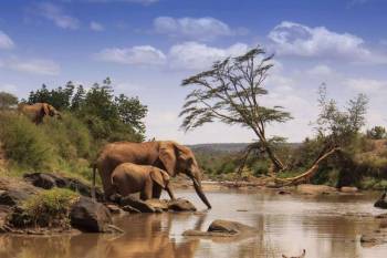 6 Days 5 Nights Meru - Samburu - Mount Kenya Safari Tour