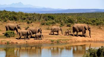 2 Days 1 Night Luxury Safari Tarangire & Ngorongoro Crater Safari