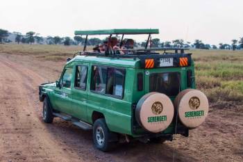 4 Days 3 Nights Tarangire Serengeti Ngorongoro & Manyara Safari Tour