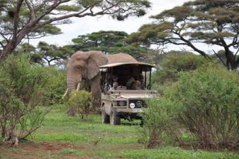 7 Days Tanzania Safari - Tarangire - Serengeti - Ngorongoro Tour