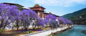 5 Nights - 6 Days Bhutan Cultural Tour