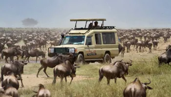 2 Nights 3 Days Amboseli Package