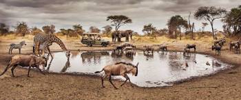 4 Days Tarangire Ngorongoro Creater Serengeti