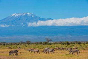 Kilimanjaro Mountain